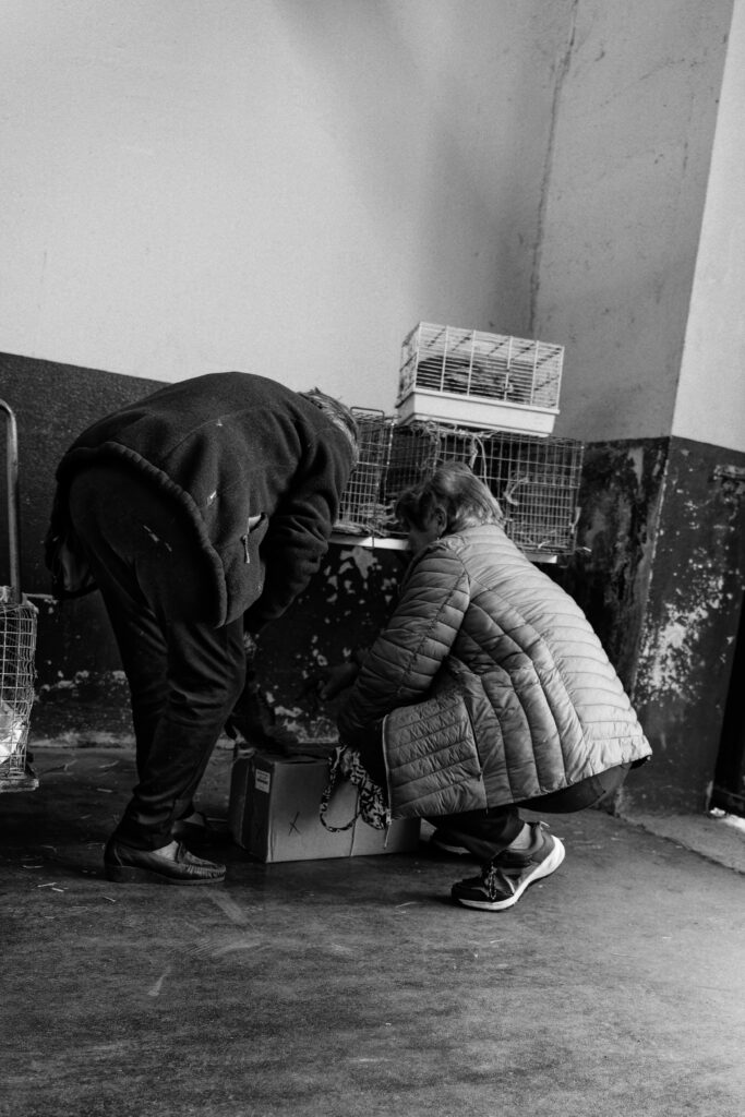 Deux personnes qui mettent un canard dans un carton